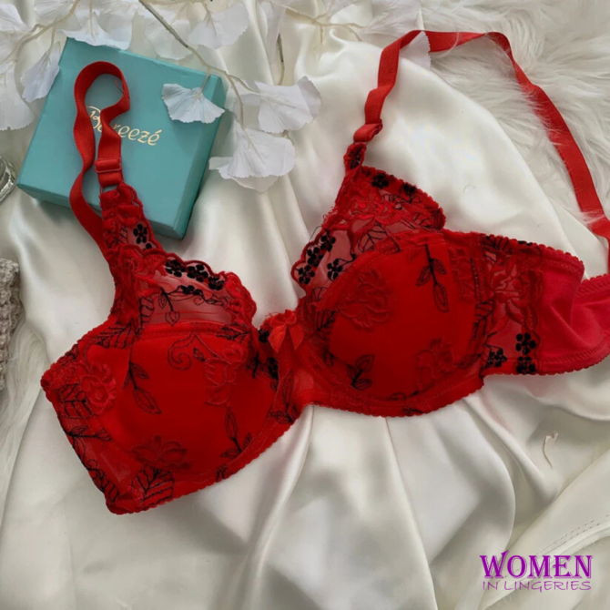 womens lingerie